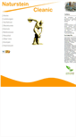Mobile Screenshot of natursteincleanic.de